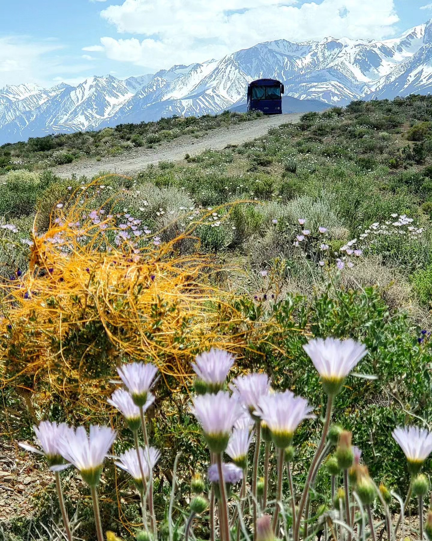 Skoolie in Front of Snowy Sierra Nevada Mountains