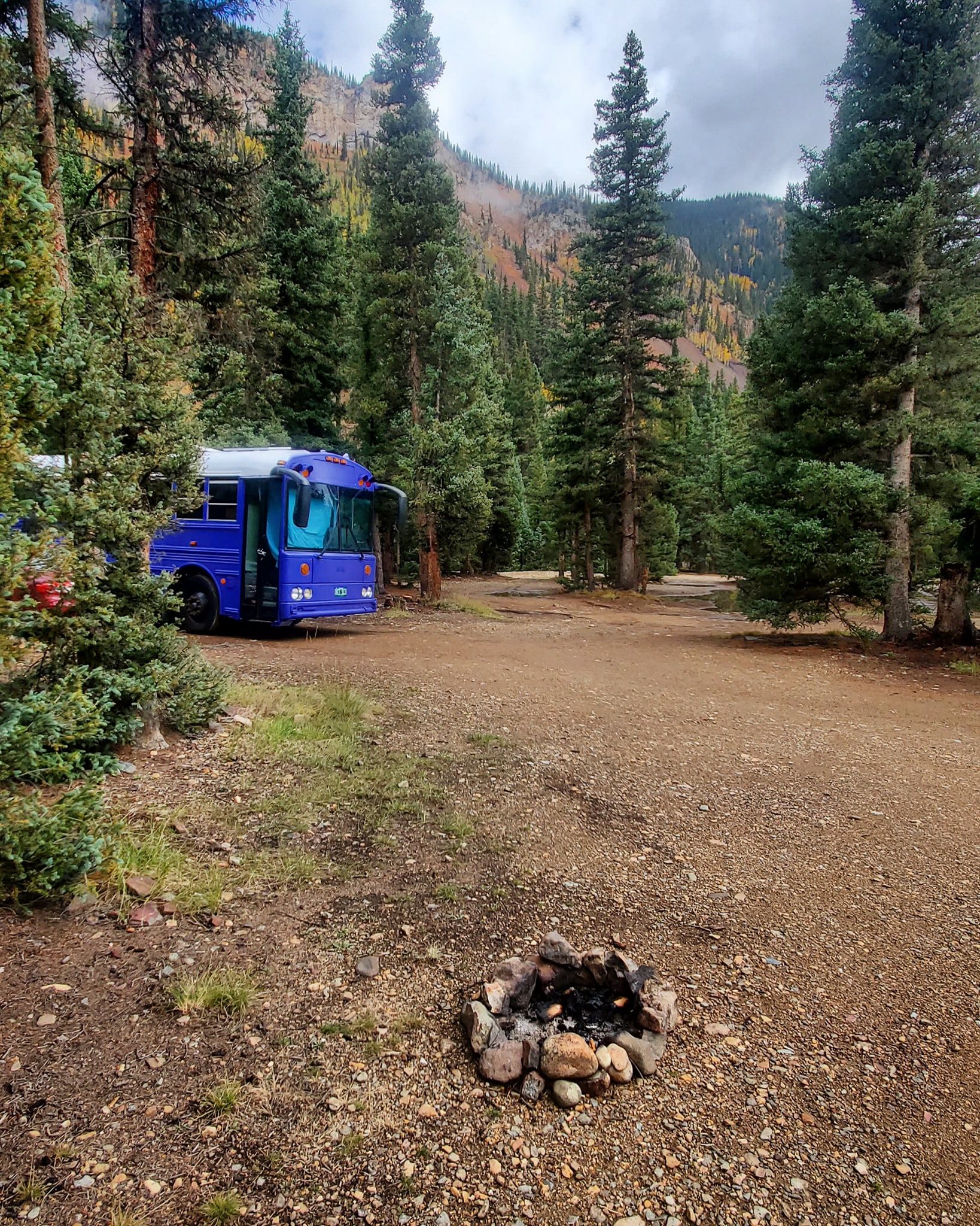 Skoolie in Pine Trees