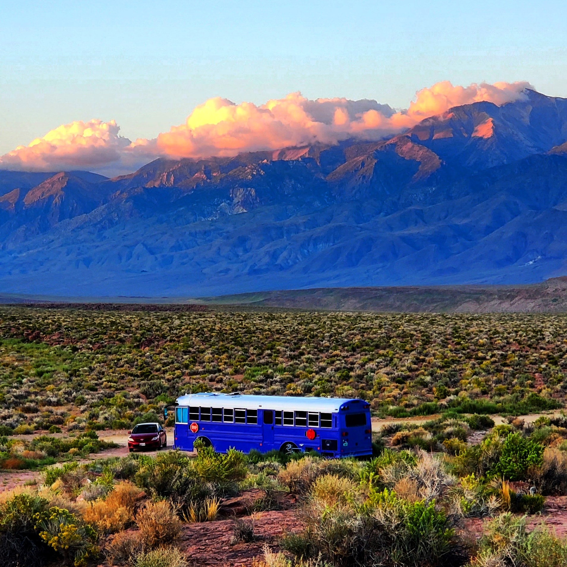 Skoolie Parked in High Desert
