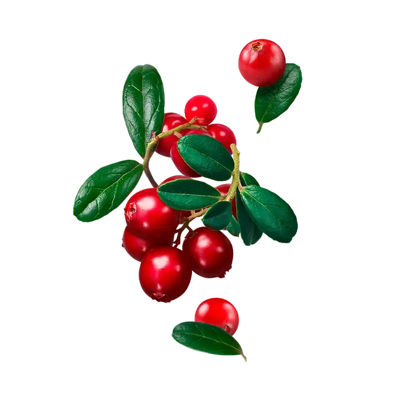 Starline - Cranberry (200g)