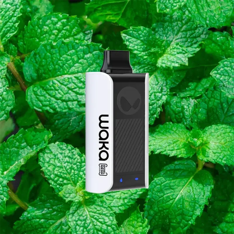 Waka - Fresh Mint 9% (10000 Puffs)