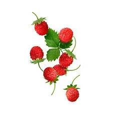 Starline - Wild Strawberry (25g)