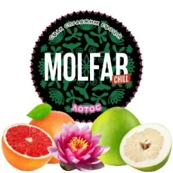 Molfar - Lotus (Chill - 100g)