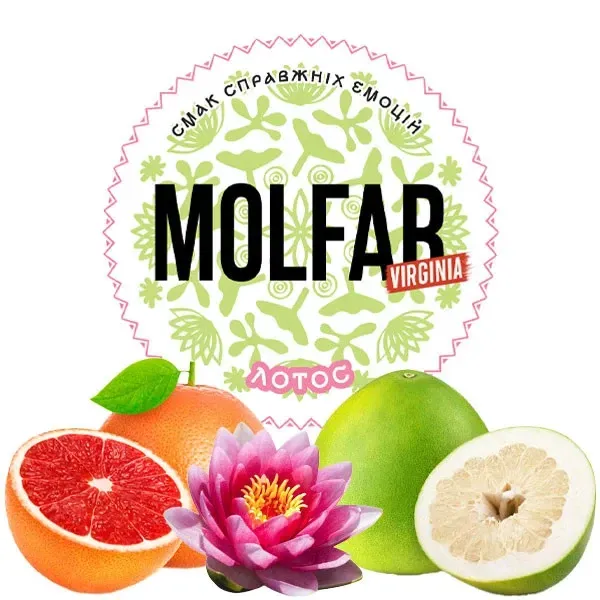 Molfar - Lotus (Virginia - 100g)