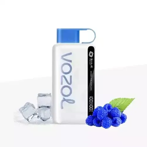Vozol - Blue Razz Ice (12000 Puffs)