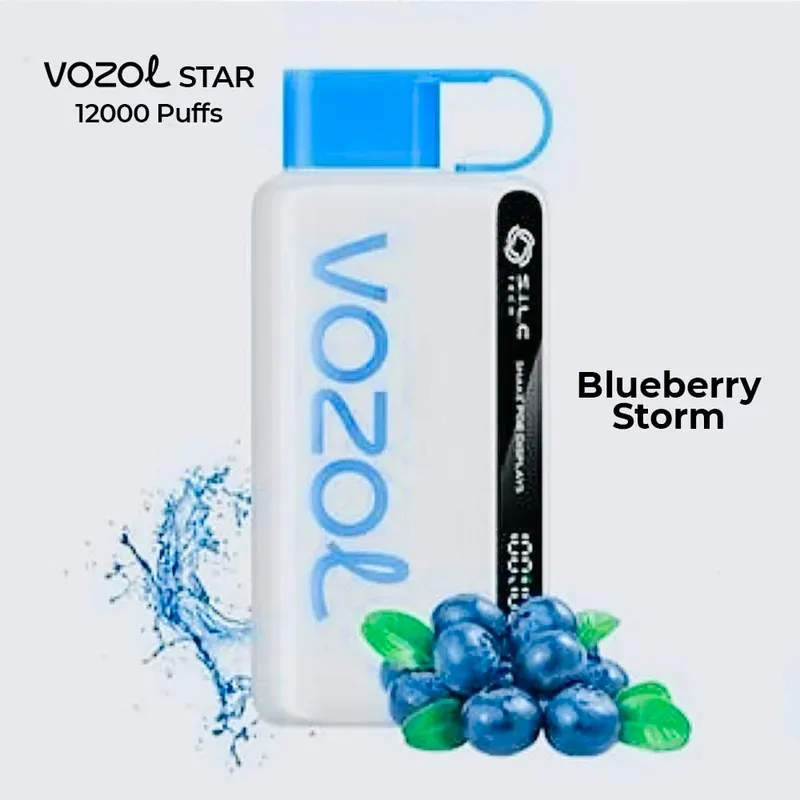 Vozol - Blueberry Storm (12000 Puffs)