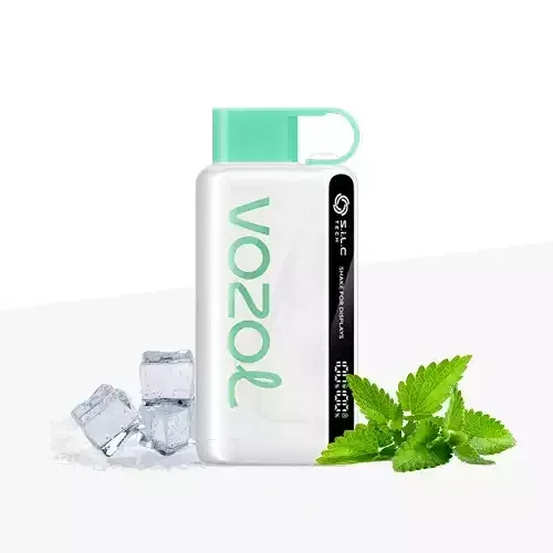Vozol - Cool Mint (12000 Puffs)
