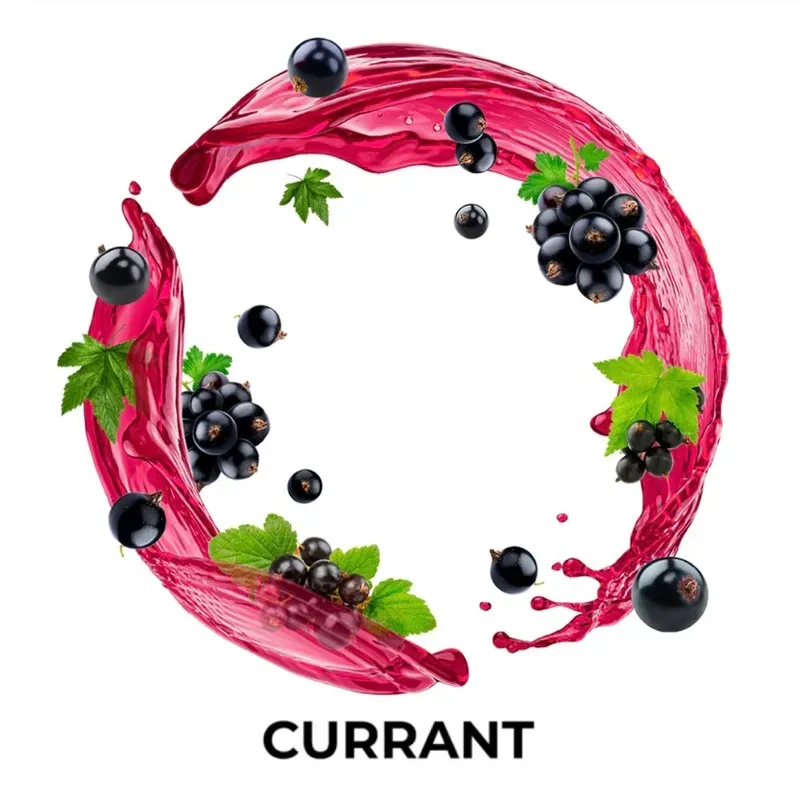 Element - Currant (Prepackaged) (Water - 100g)