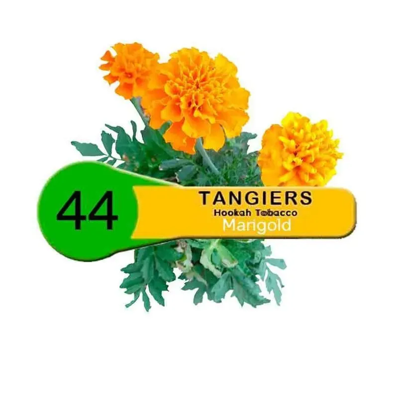 Tangiers - Marigold (Noir - 100g)