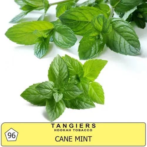 Tangiers - Cane Mint (Noir - 250g)