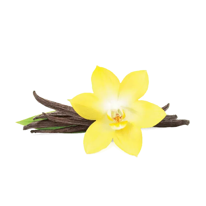 Fumari - French Vanilla (Blonde Leaf - 100g)