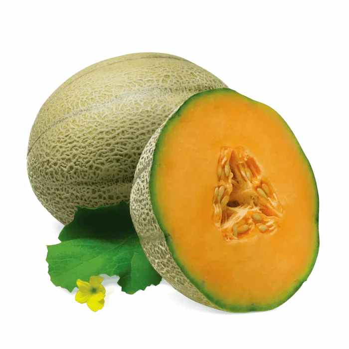 Fumari - Ambrosia (Blonde Leaf - 100g)