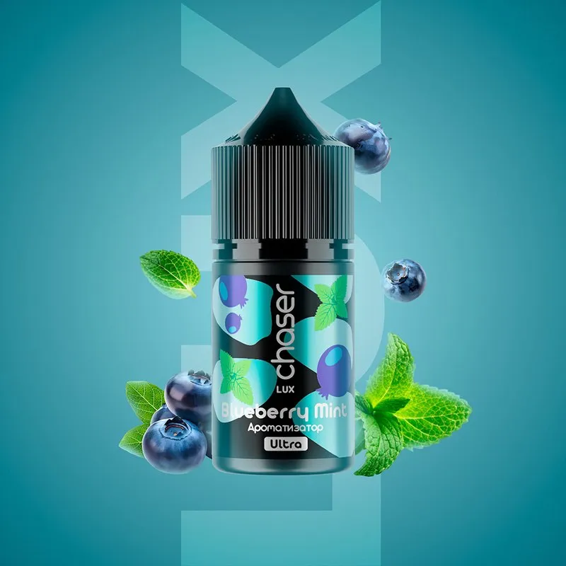 Chaser - Blueberry Mint (6.5% nic - 30ml)