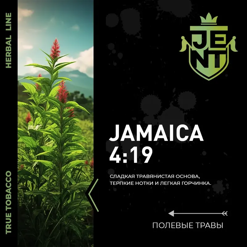 Jent  - Jamaica 4:19 (100g)