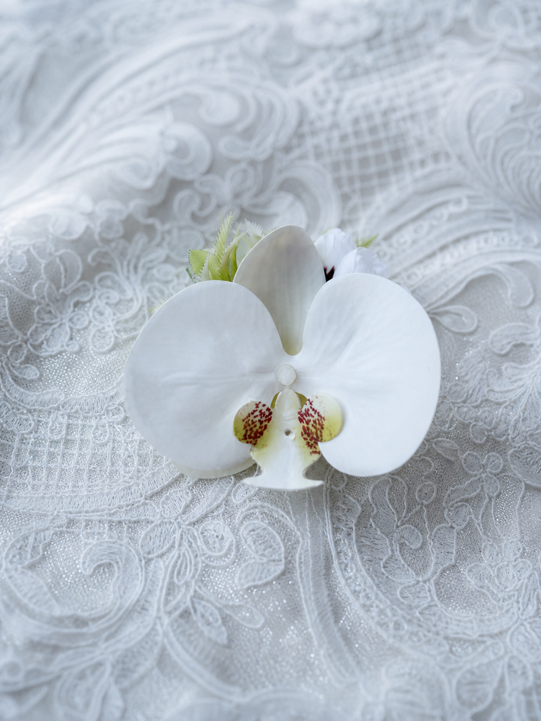 Ivory Orchid Corsage thumbnail 5