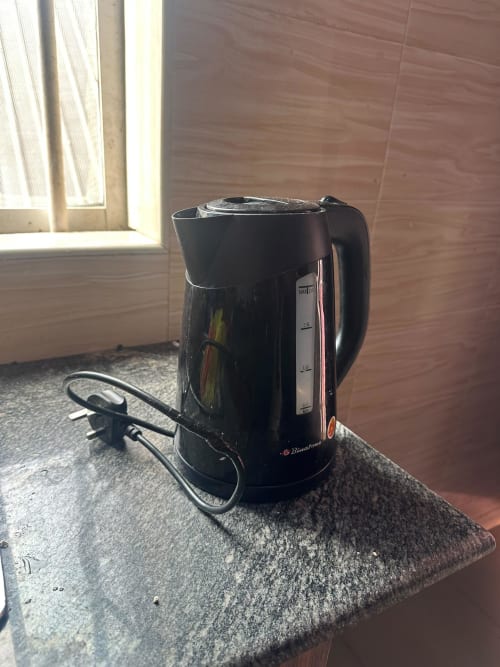 Electric kettle