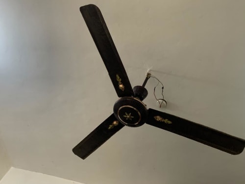 Ceiling fan