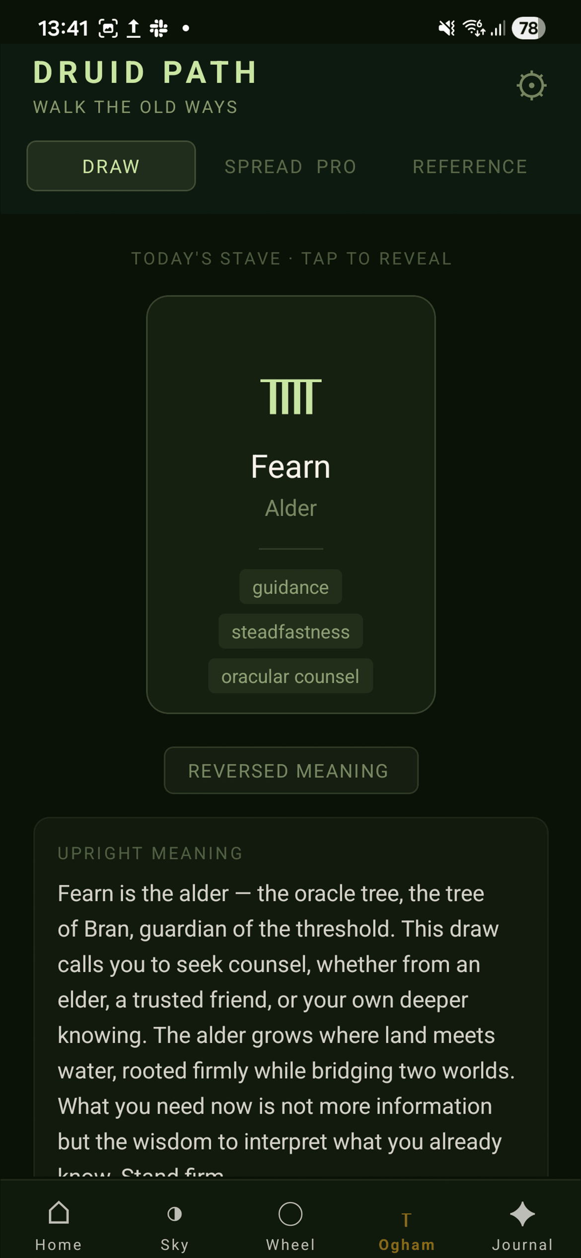 Ogham — Daily Draw