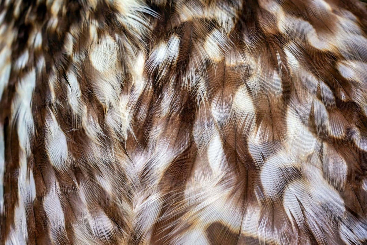 Stop trying to guess when AI changes everything, prepare like it already has.