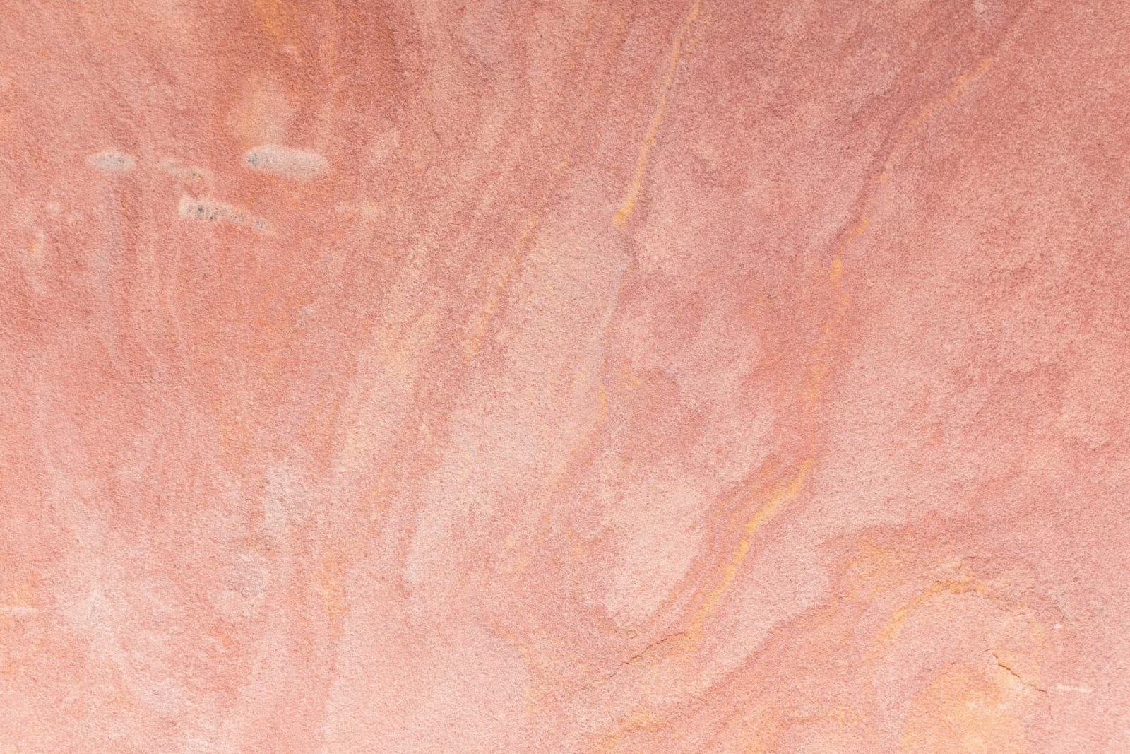 The Importance of Taste and Judgment in the Age of AI: Lessons from Founders and CEOs