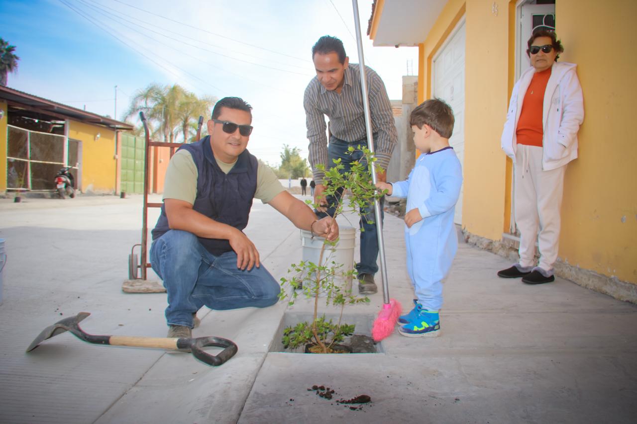 Imagen del artículo