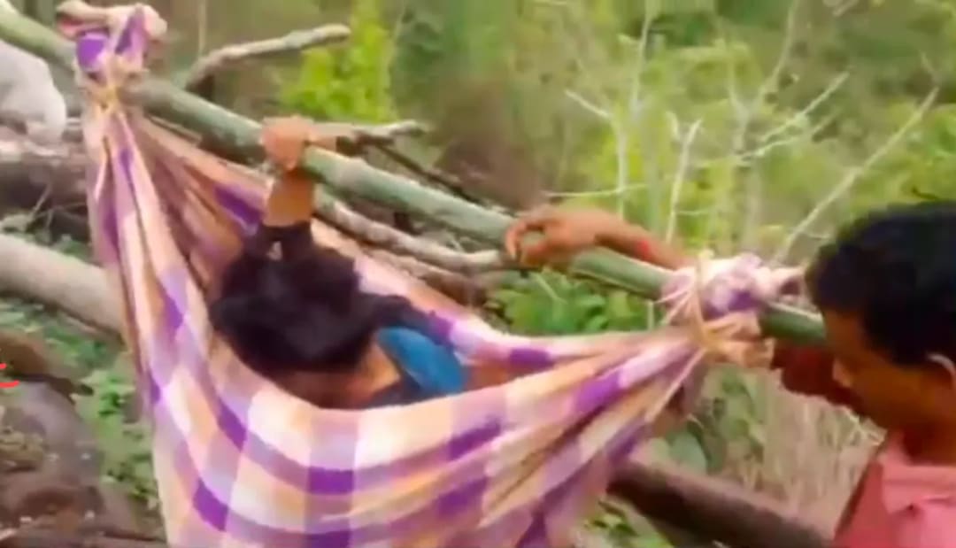 డోలి మోత..