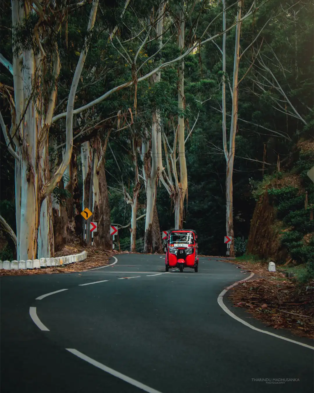 Scenic road in Sri Lanka with a tuk tuk in the distance