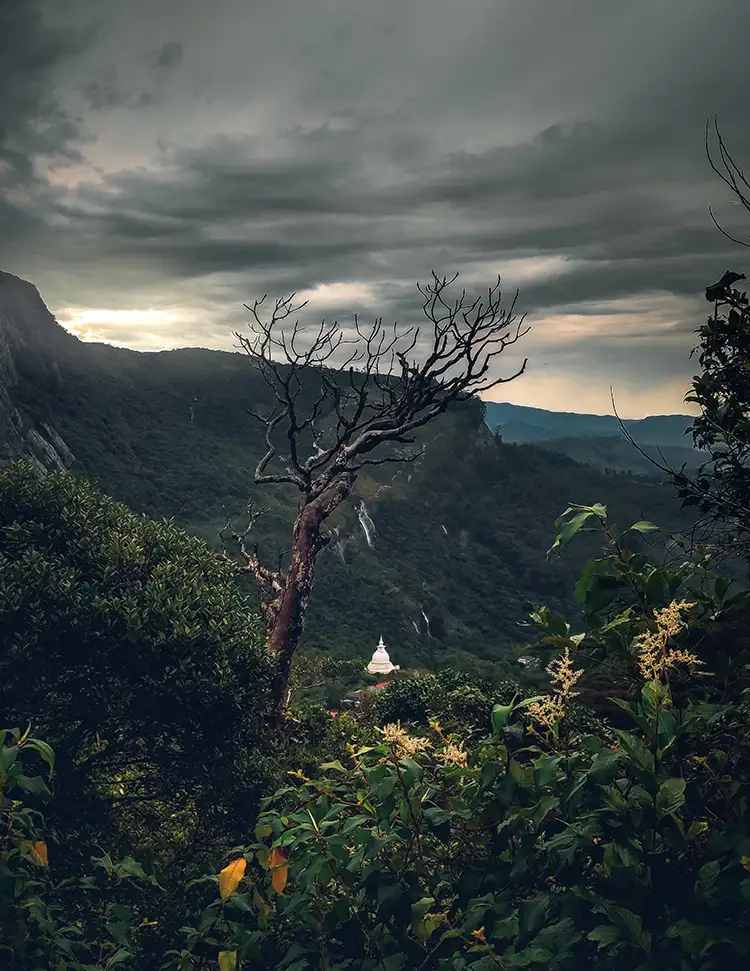 A tree on the Sri Pada trail frames a view of a white dagoba (stupa) nestled in the distant green mountains under a dramatic, cloudy sky.