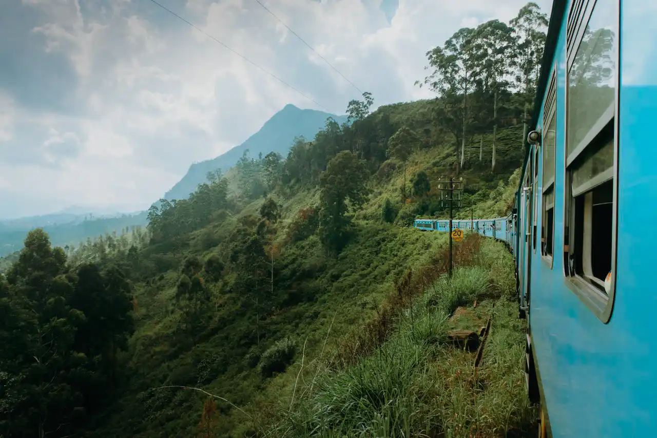 Image of a view when traveling by train in Sri Lanka