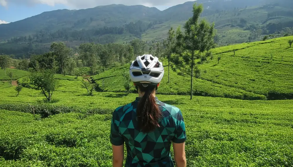 Image of a cyclist sees a tea plantation view