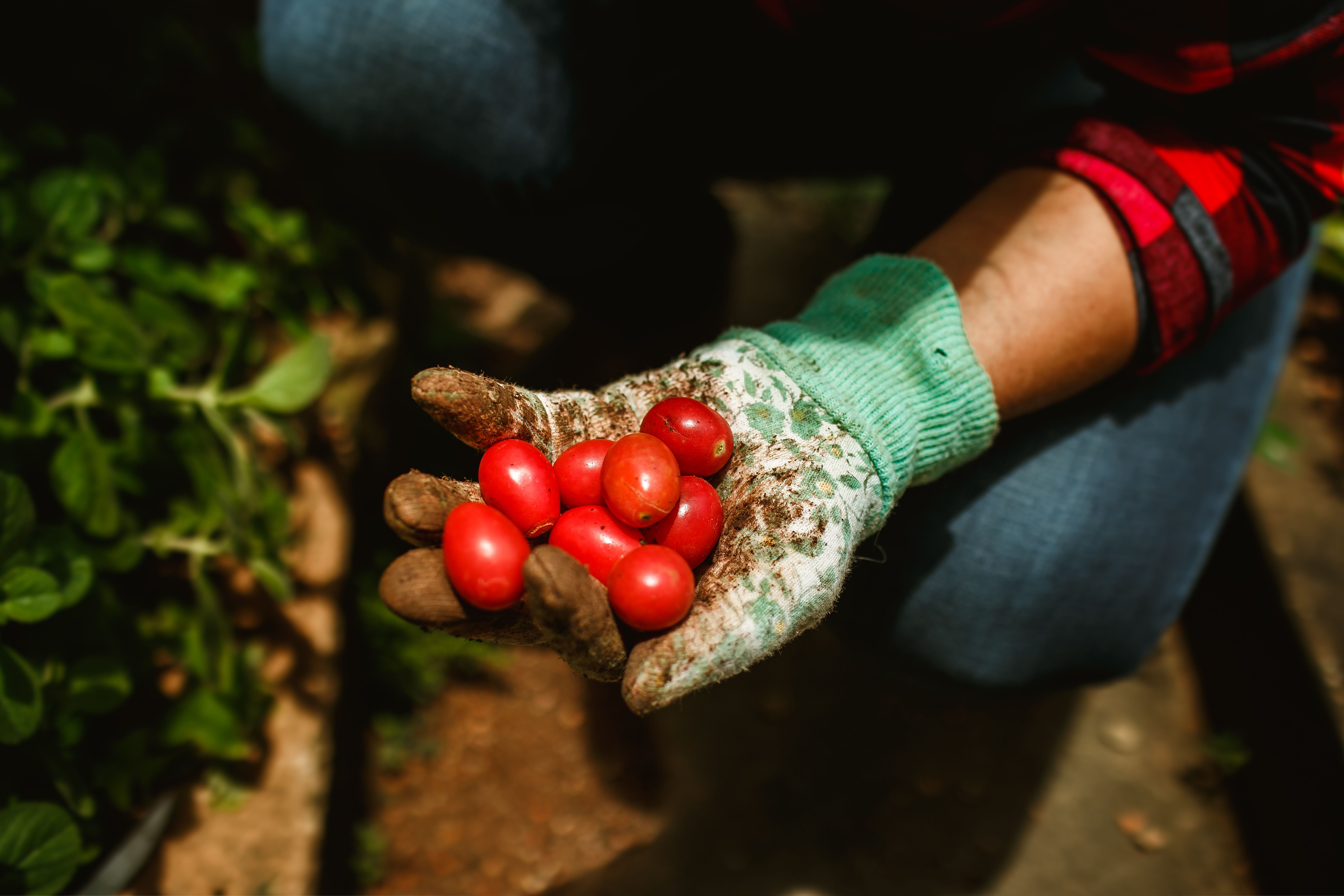 Rio Grande Valley Fresh — 2