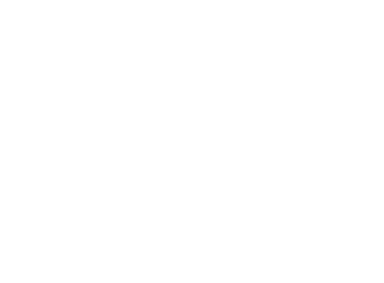 citilink