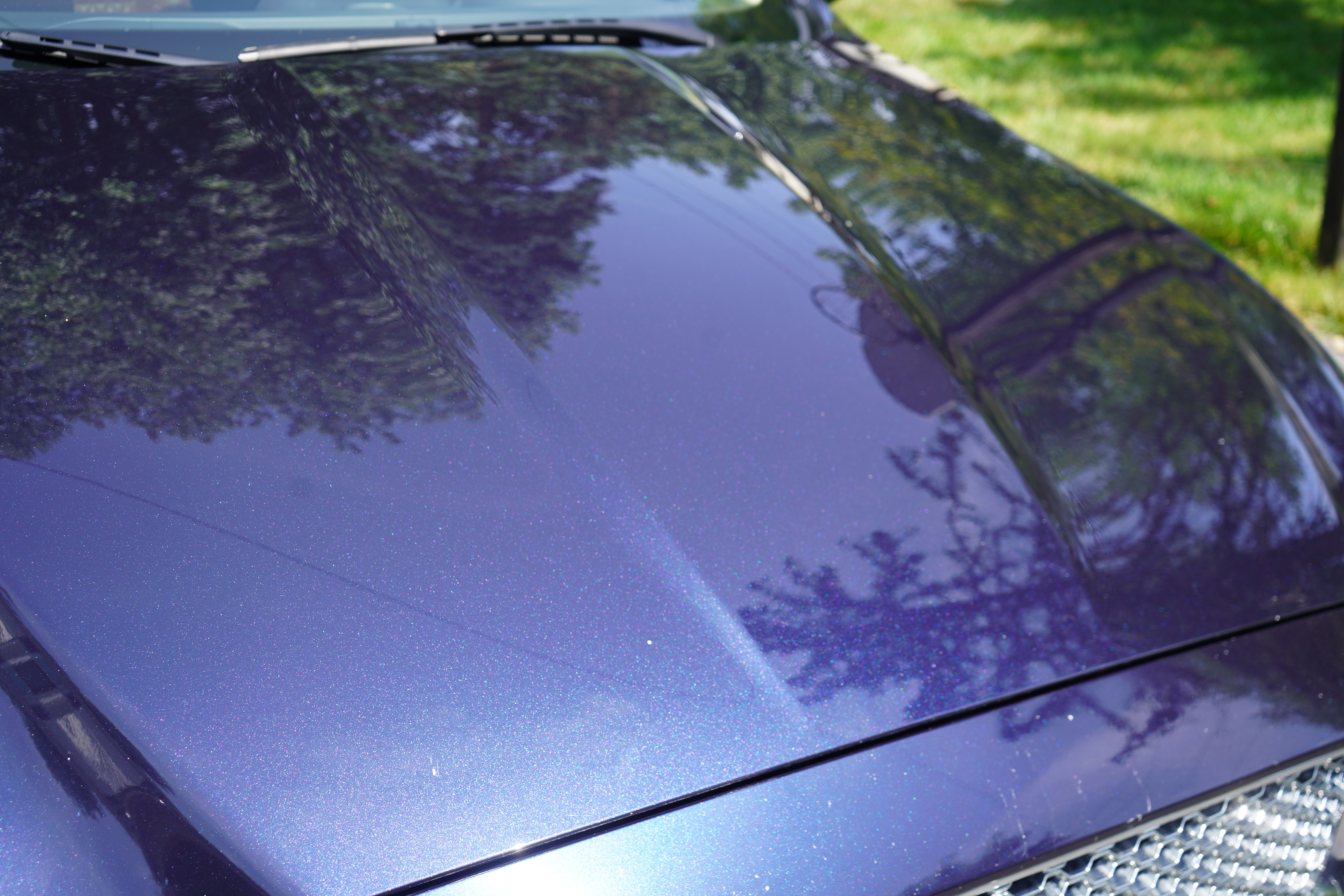 After paint correction - Jaguar XJ hood restored gloss Wayne PA