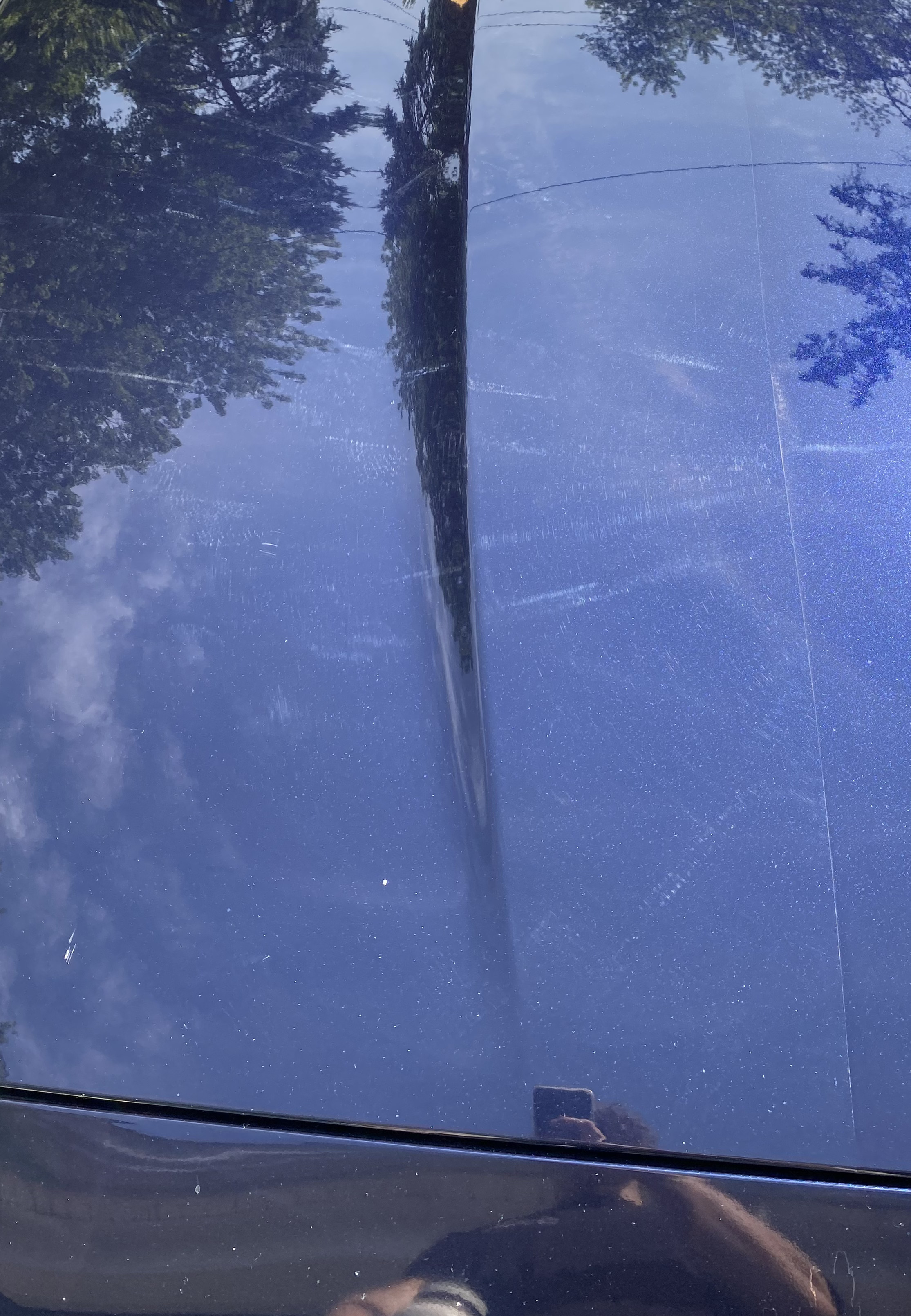 Before paint correction - Jaguar XJ hood with swirl marks and oxidation