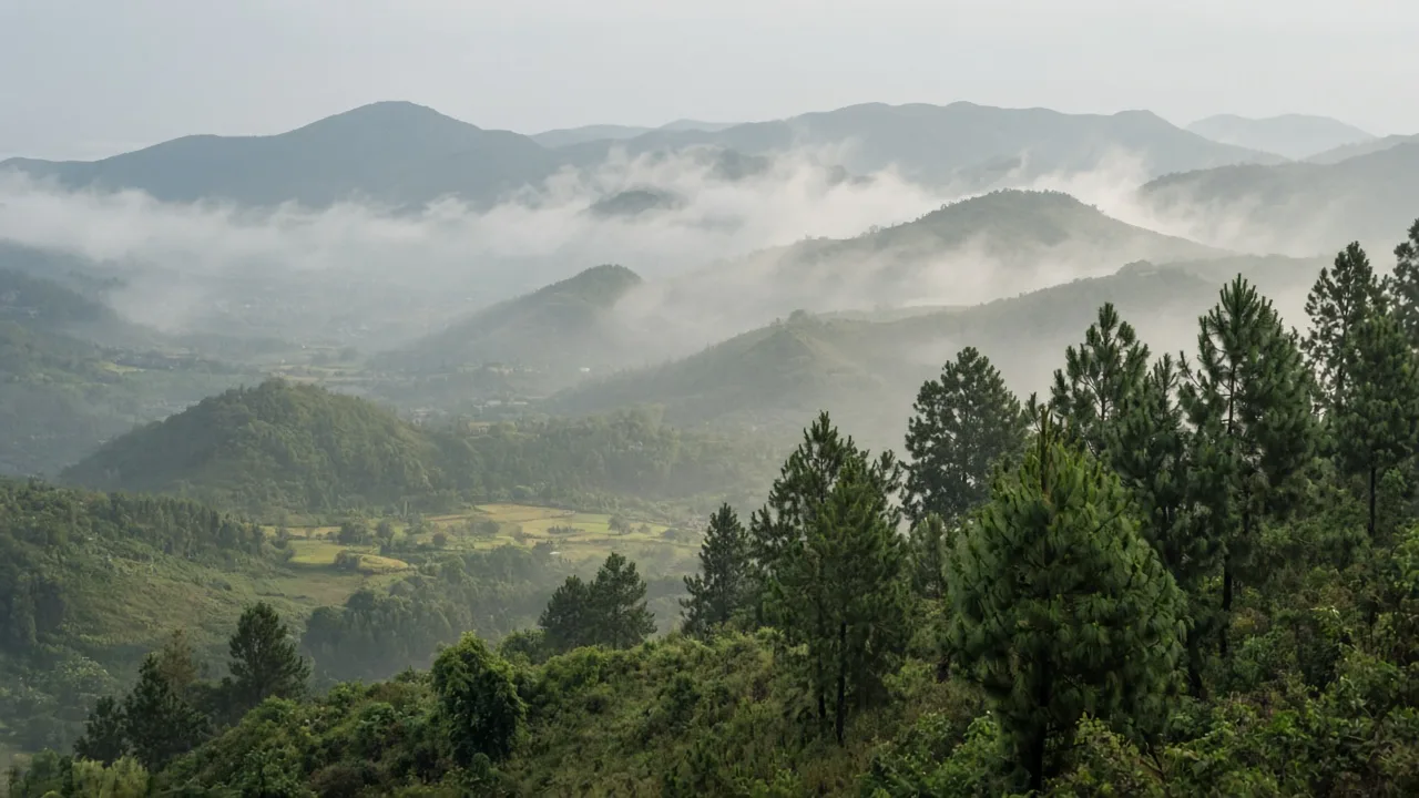 chennai-weekend-yelagiri