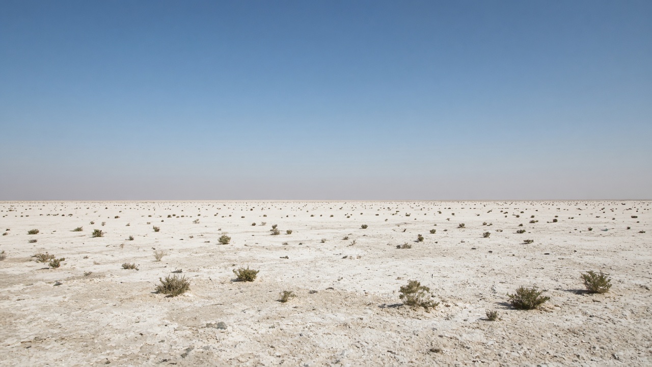 ahmedabad-weekend-little-rann