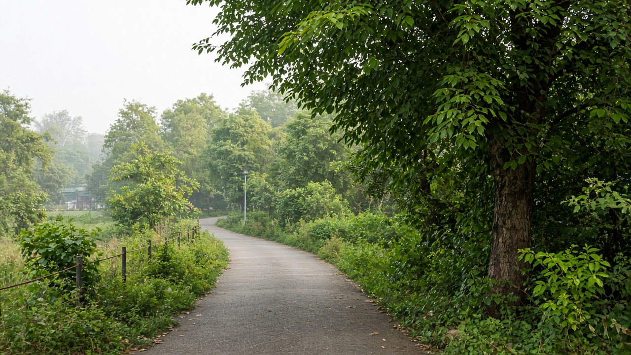 pune-place-katraj