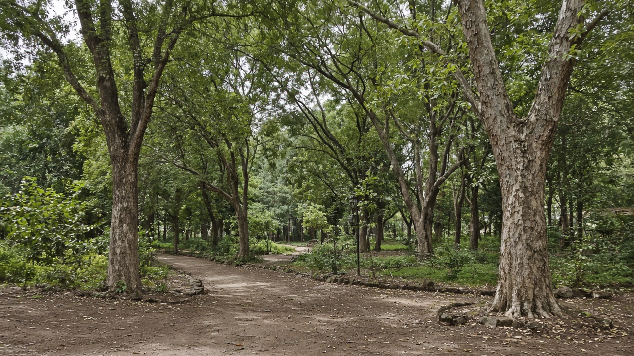 ranchi-place-nakshatra