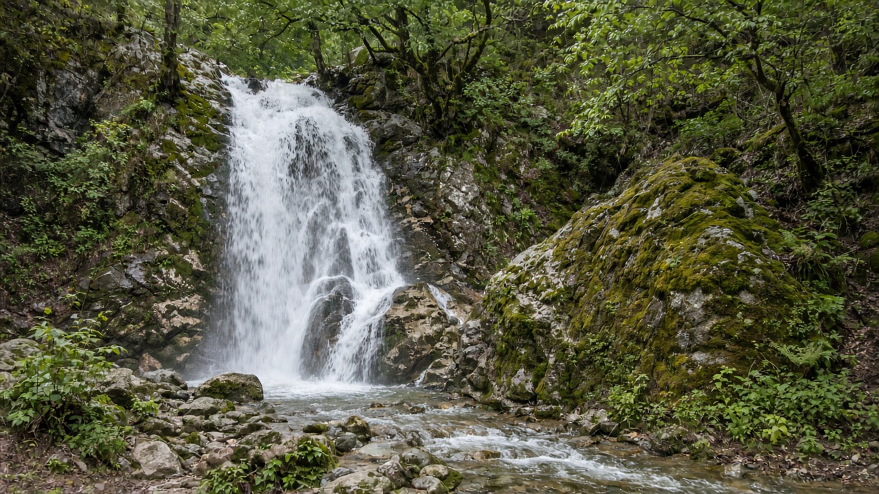 manali-place-jana