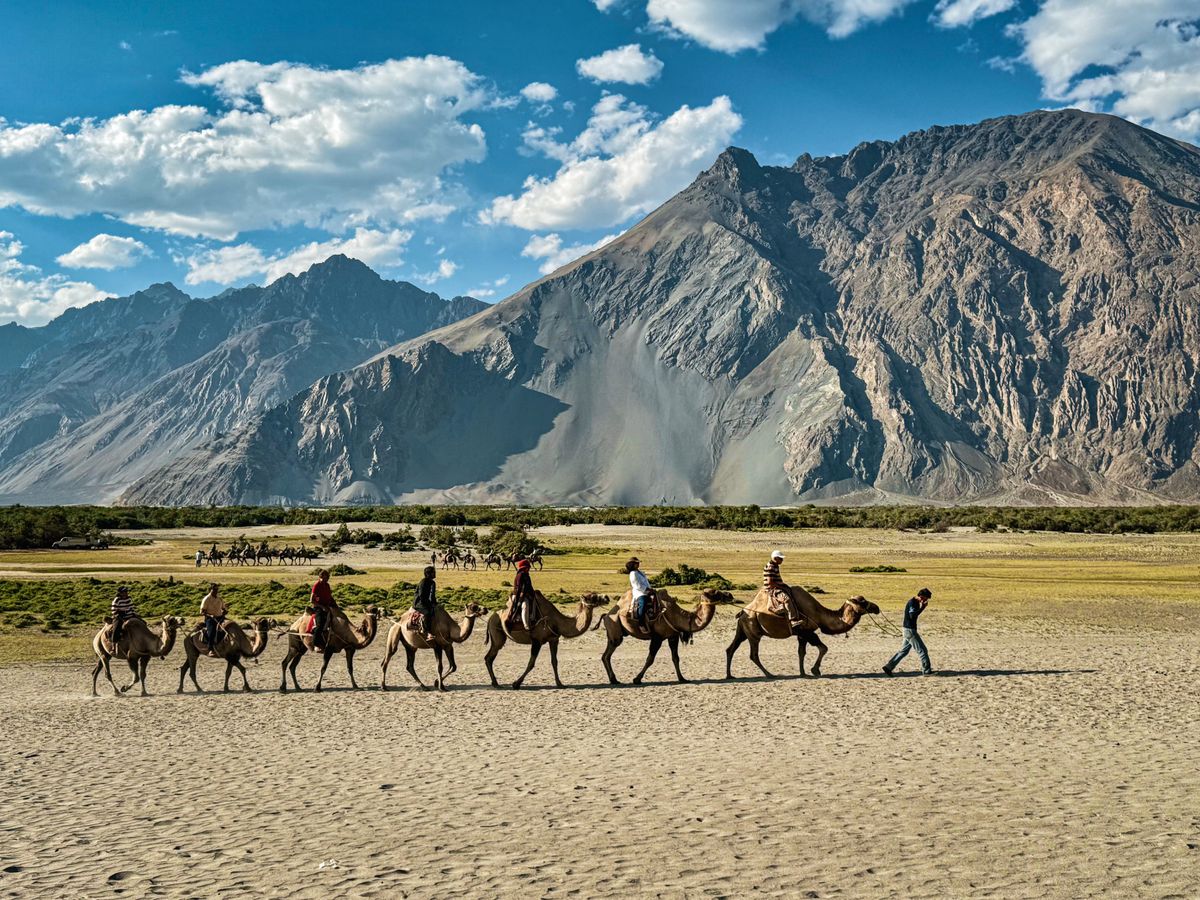Camel ride in Nubra Valley, Ladakh