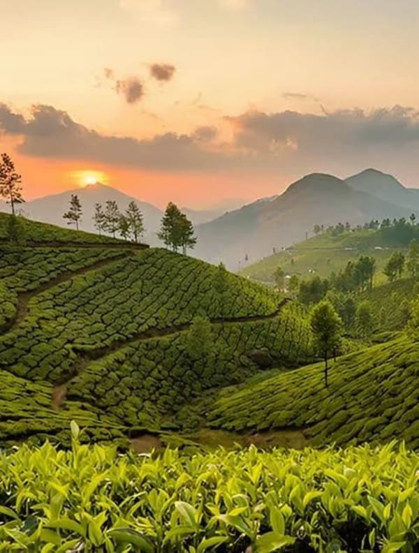 Kerala Getaway