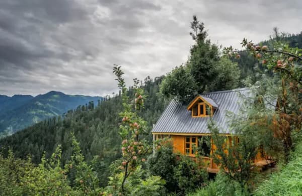 Tree House