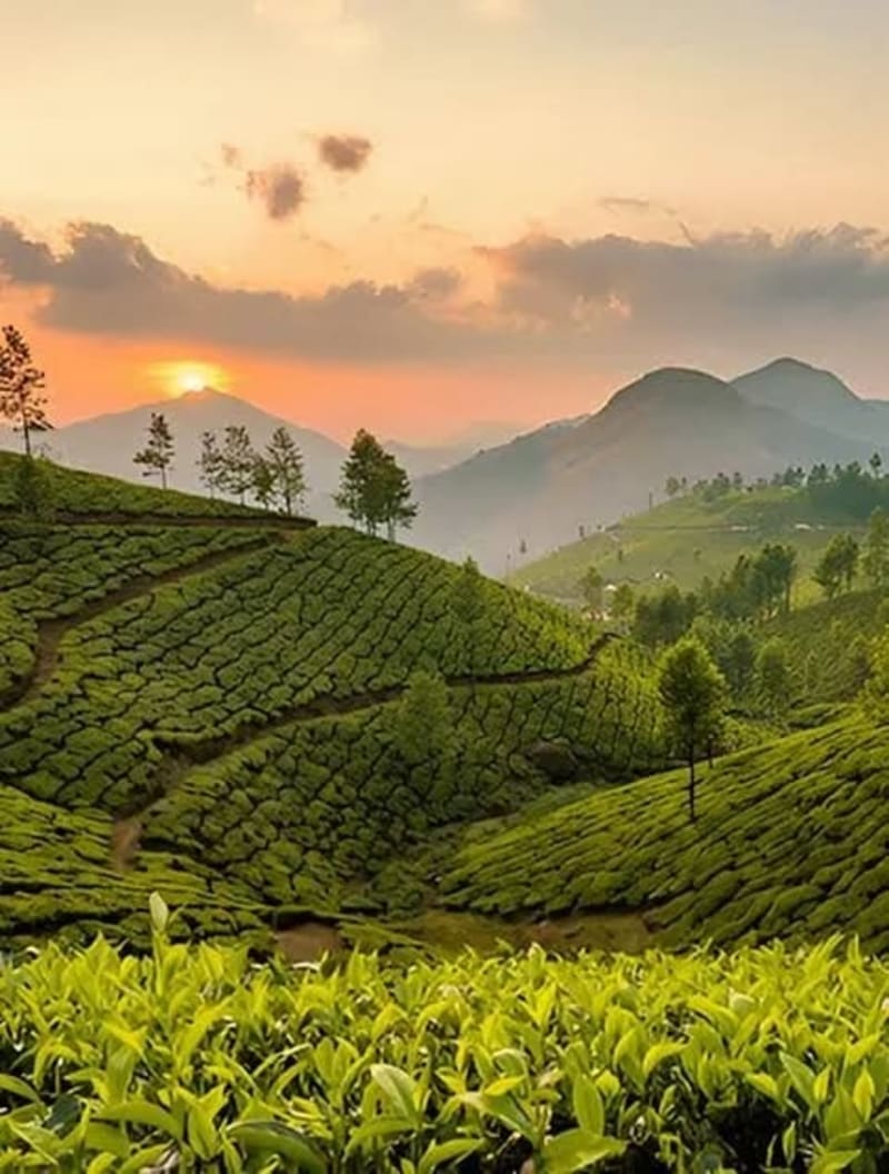 Kerala Getaway - photo 2