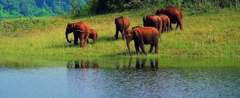 Kerala Getaway - photo 3