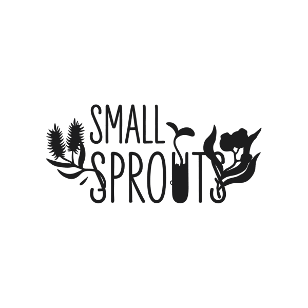 Small Sprouts Allied Health