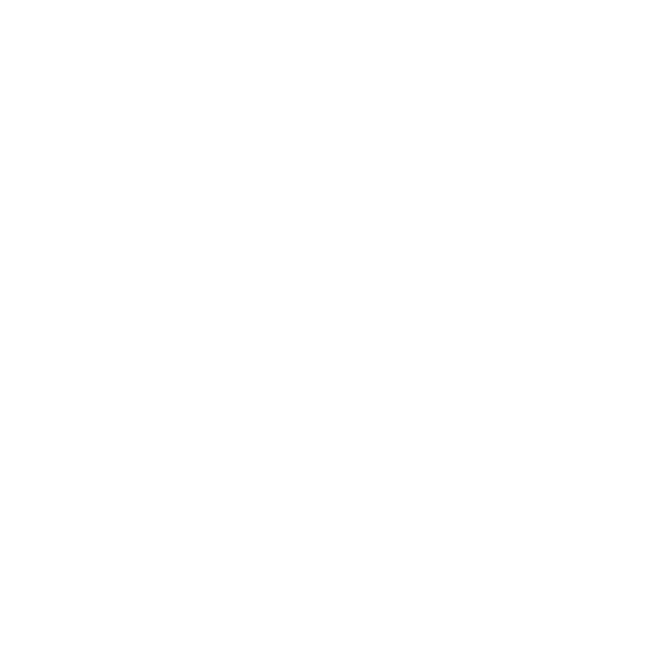 Spot Therapy Hub