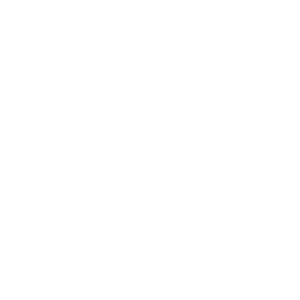 Plena Healthcare