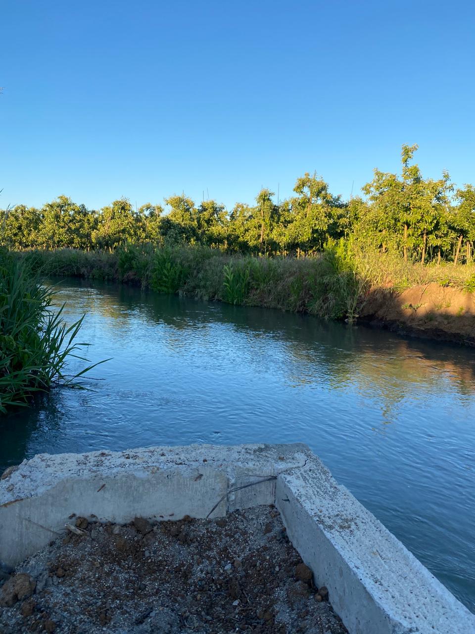 Canal de riego Casas Viejas 62