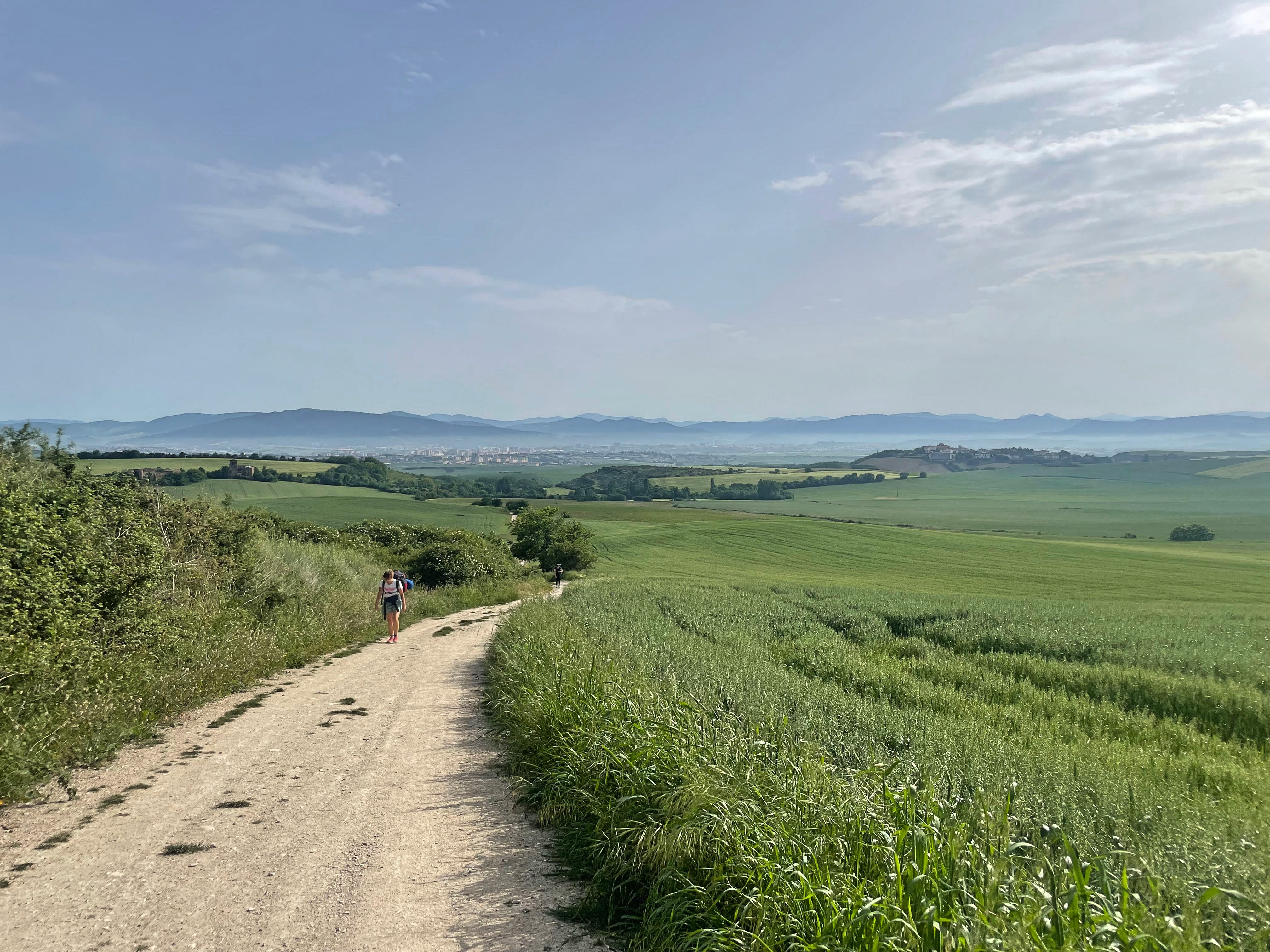 Wheat fields that you see it again and again, but never get tired of.