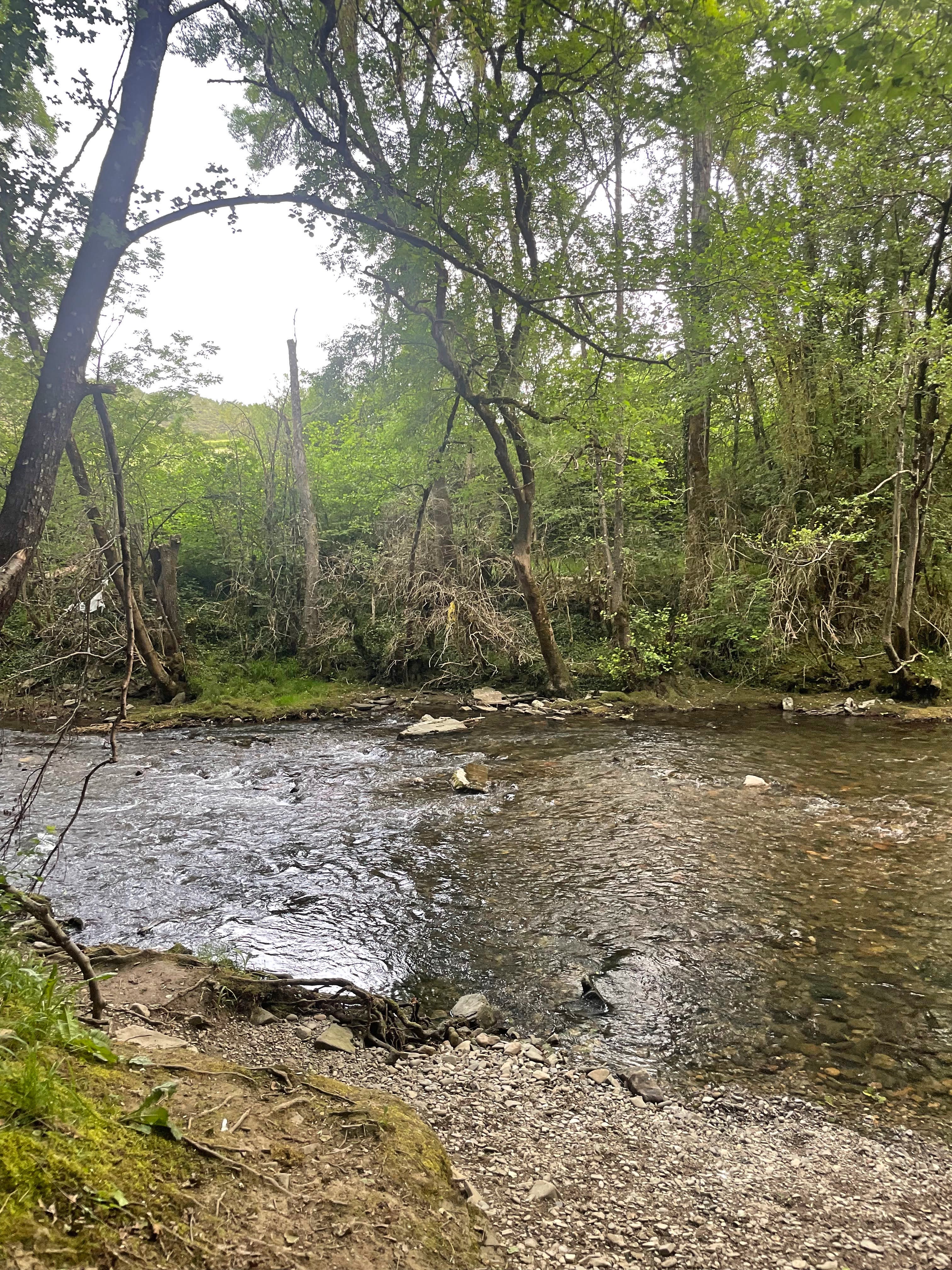 The walk started along the river, and it was nice to hear the sound of the flowing river.